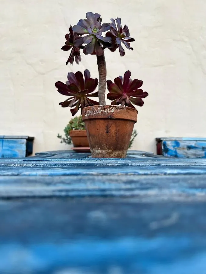 Holiday home Casa Tesalia Villa Guimar Spain