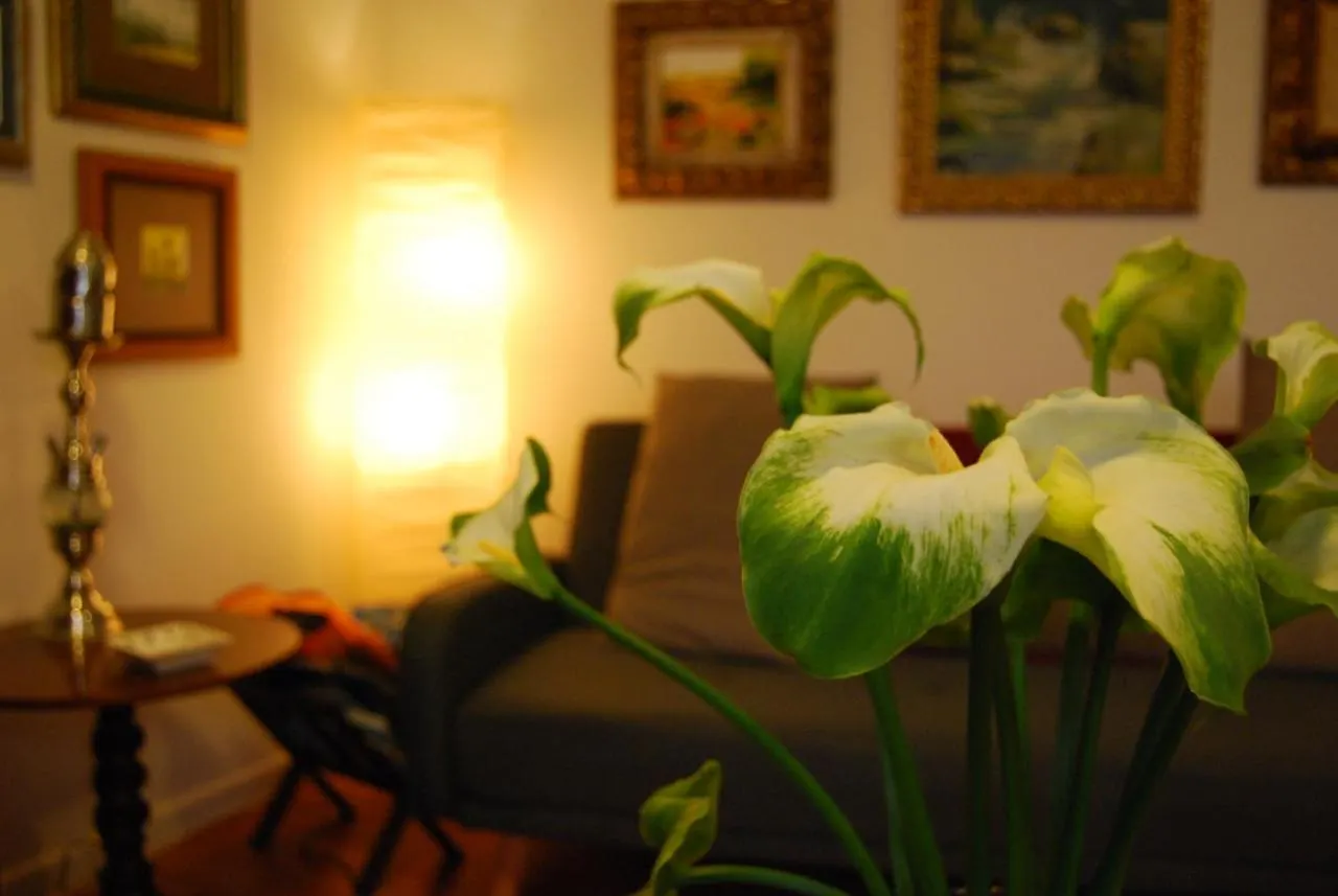 Prázdninový dům Vila Casa Tesalia Güimar